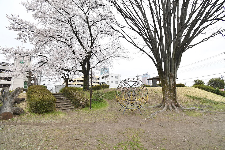 王山古墳の写真