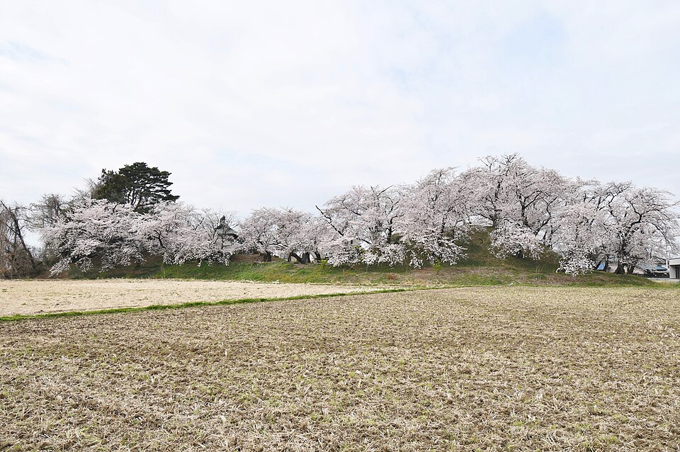 元島名将軍塚古墳の写真