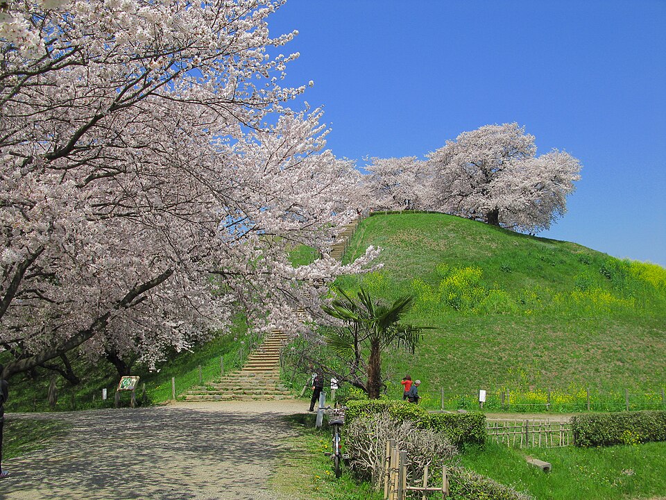 丸墓山古墳の写真