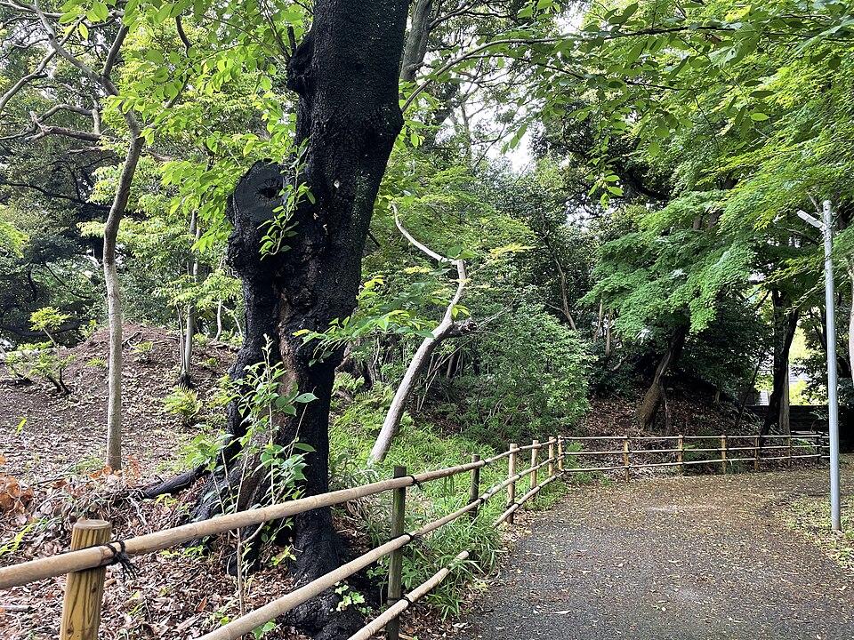 弘法寺古墳の写真