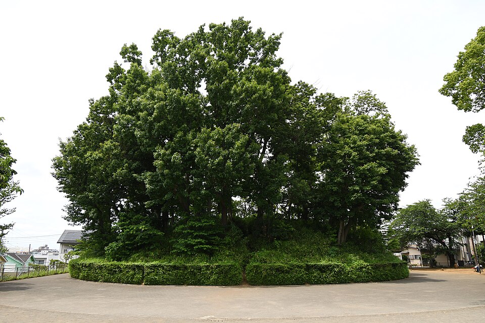 西福寺古墳の写真
