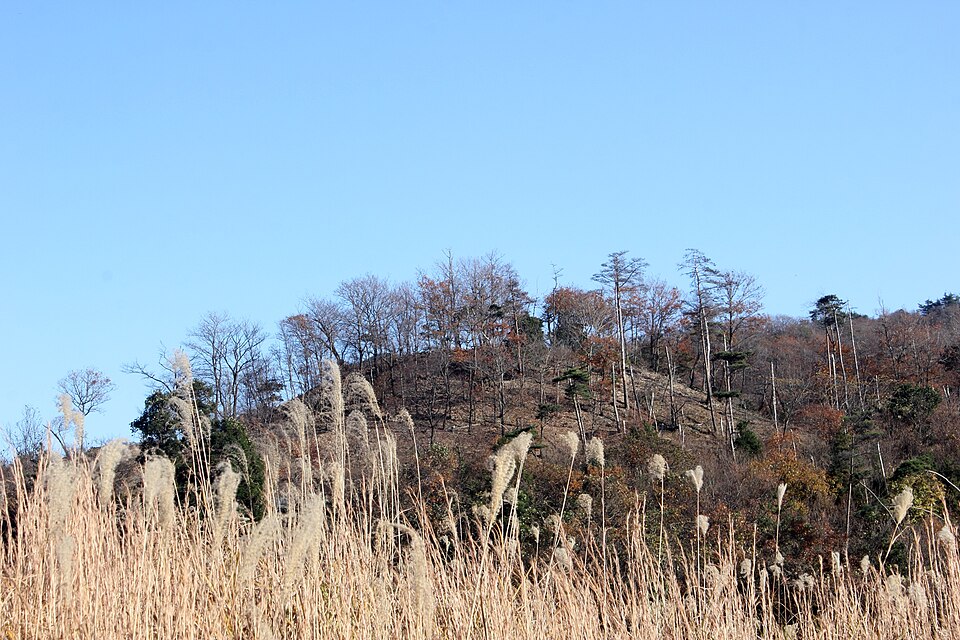 免鳥長山古墳の写真