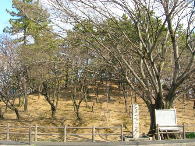 八幡山古墳の写真