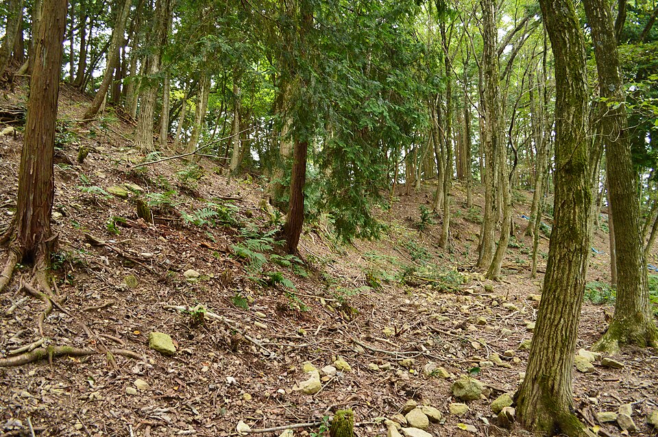 荒神山古墳の写真