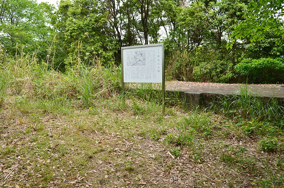 紫金山古墳の写真
