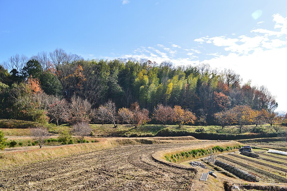 別所大塚古墳の写真