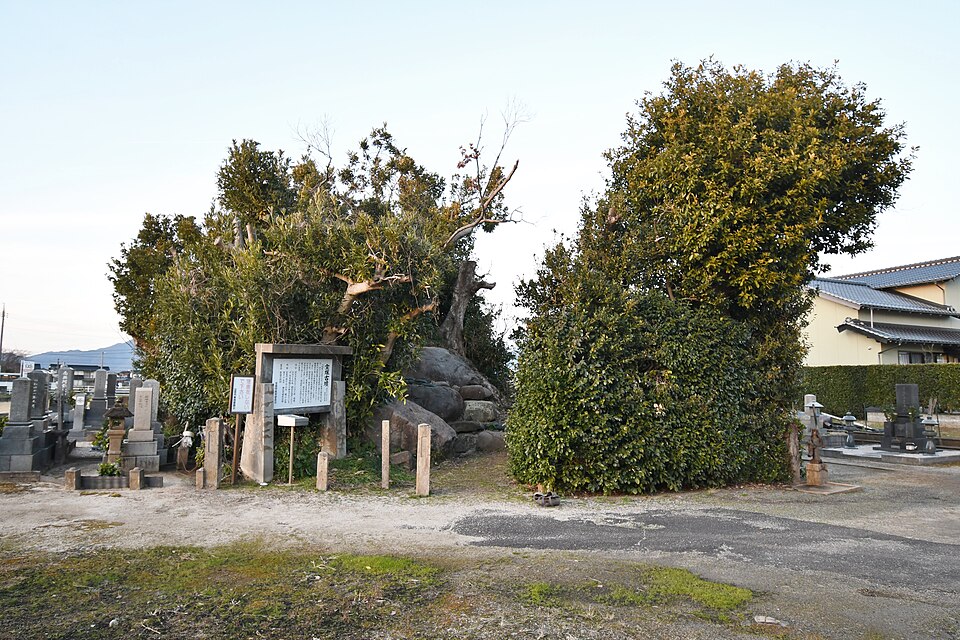 宝塚古墳の写真
