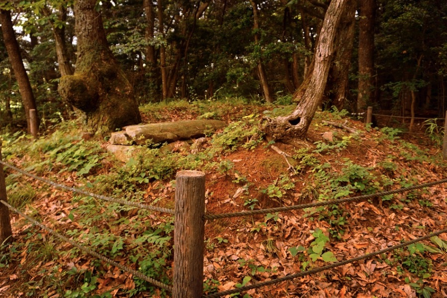 徳連場古墳の写真