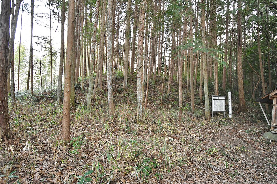 国森古墳の写真