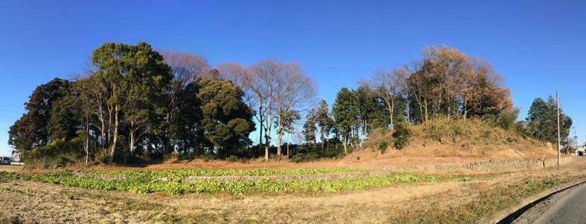 藤本観音山古墳の写真